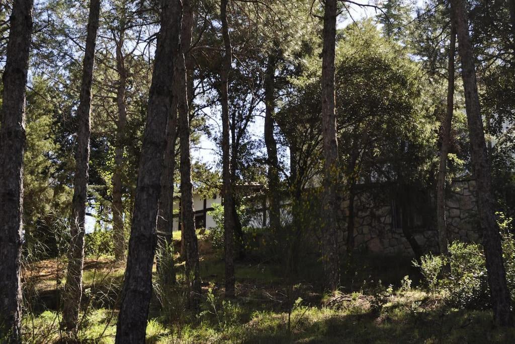 La Del Burguillo Holiday home