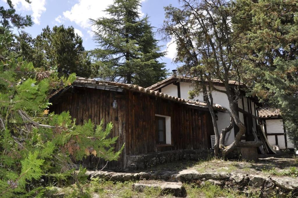 La Del Burguillo