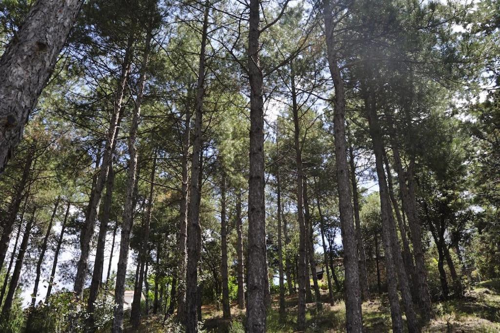 La Del Burguillo Holiday home El Barraco